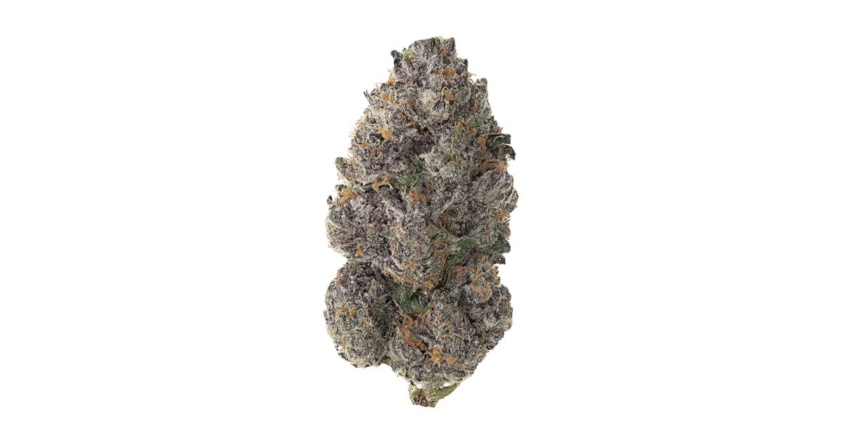 Flor da strain Purple Thai