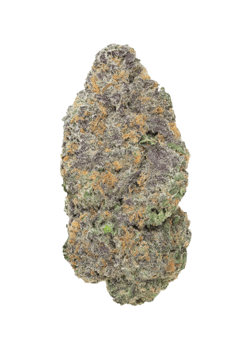 Flor da strain Purple Trainwreck