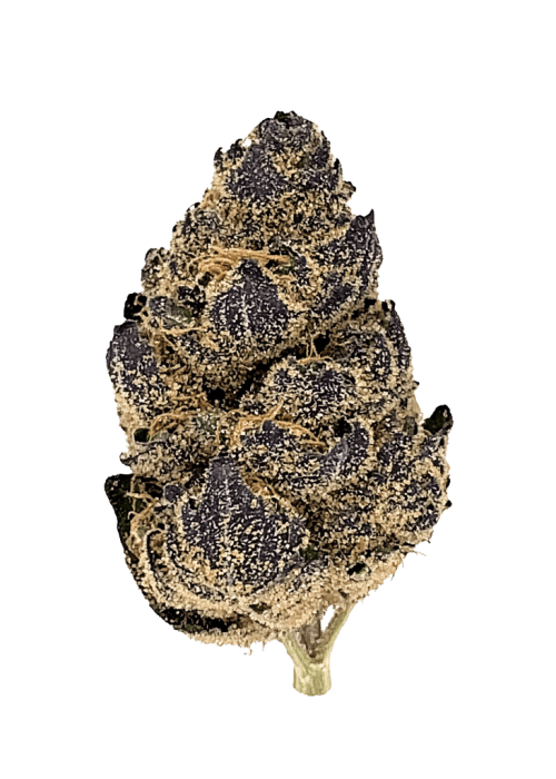 Flor da strain Rainbow Gelato