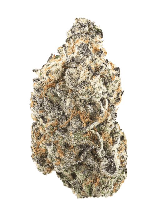Flor da strain Razzberry Gelato