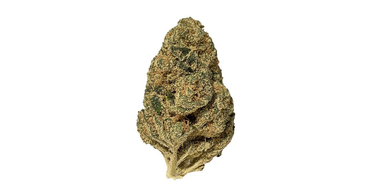 Flor da strain Sensi Star
