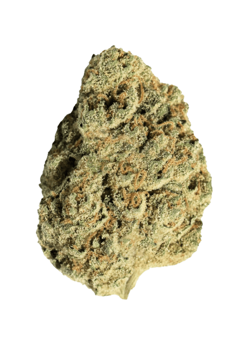 Flor da strain Slapz