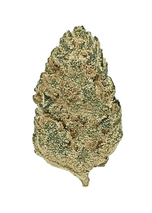 Flor da strain Strawberry Gelato