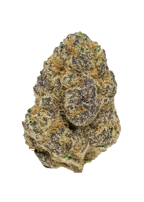 Flor da strain Strawberry Lemonade