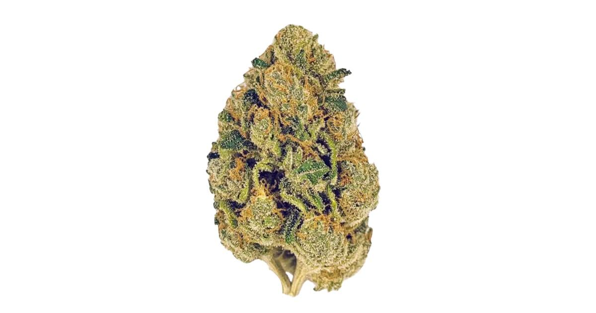 Flor da strain Super Lemon Haze