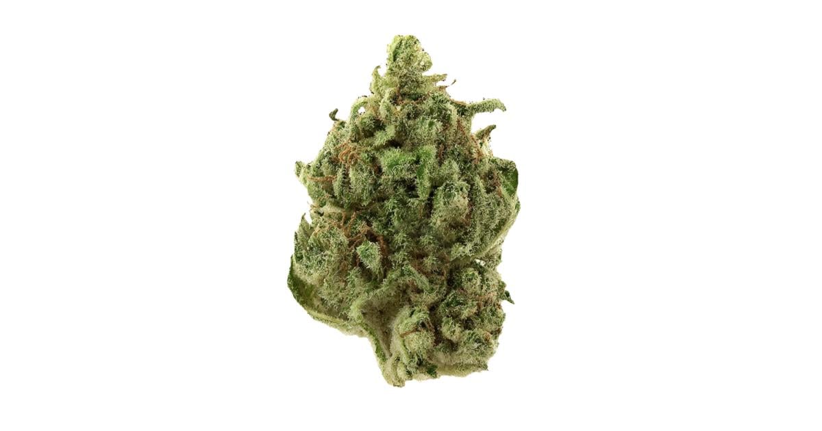 Flor da strain Super Silver Haze