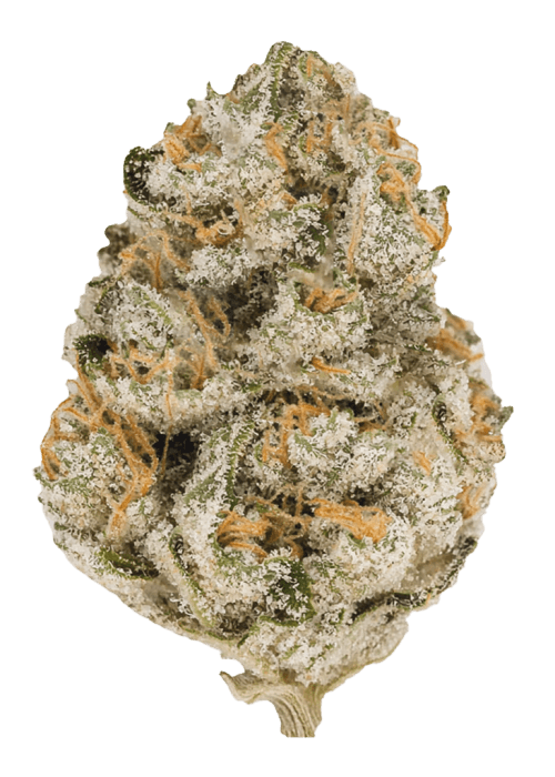 Flor da strain Watermelon Gelato