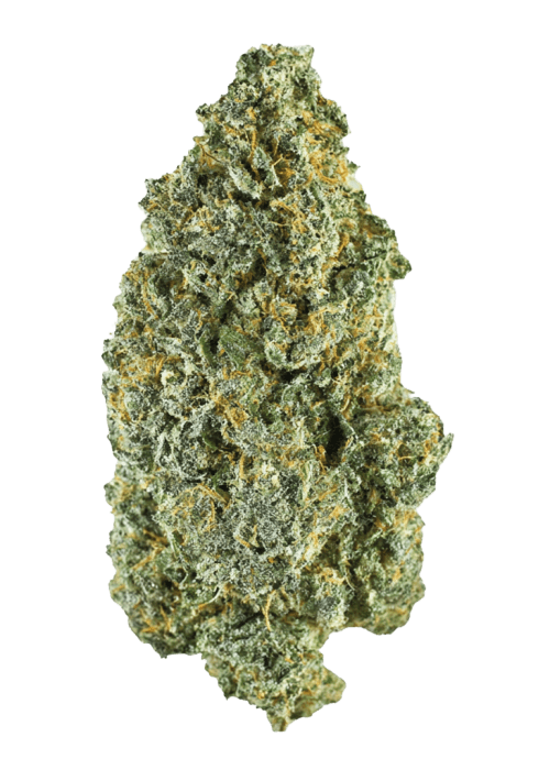 Flor da strain Wedding Gelato