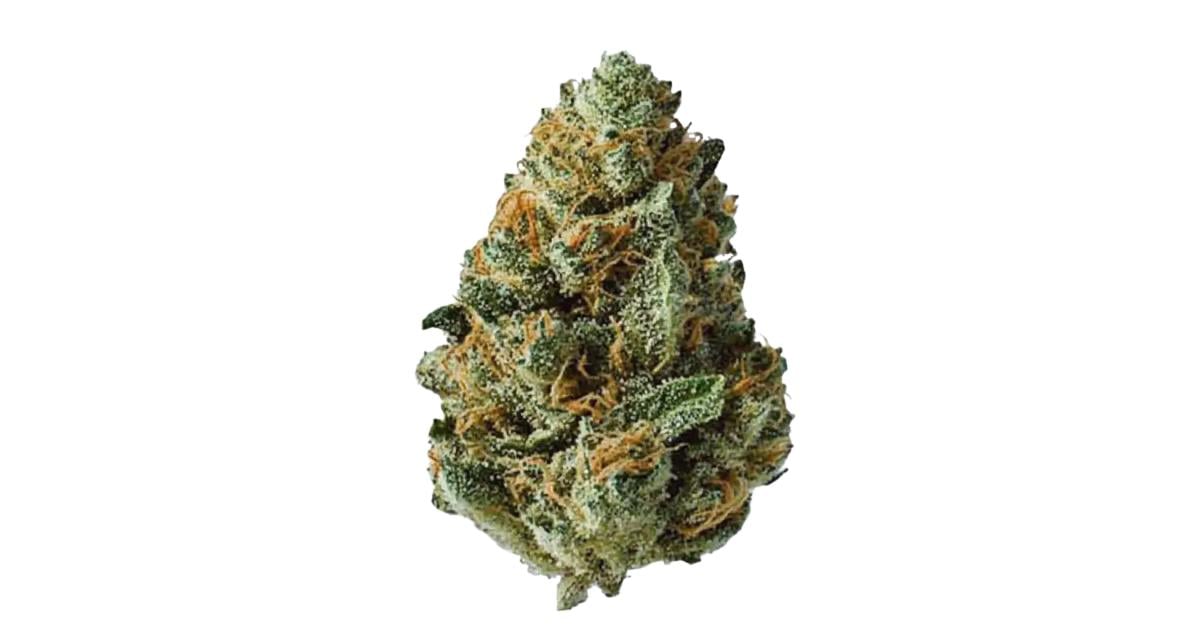 Flor da strain Y Life