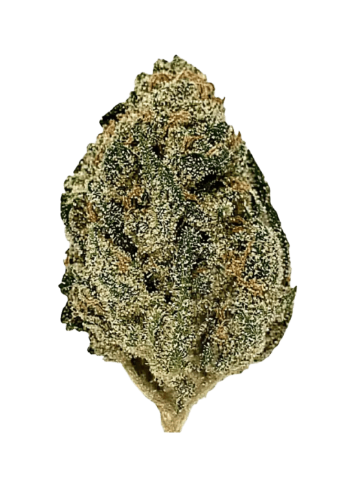 Flor da strain Zoomiez