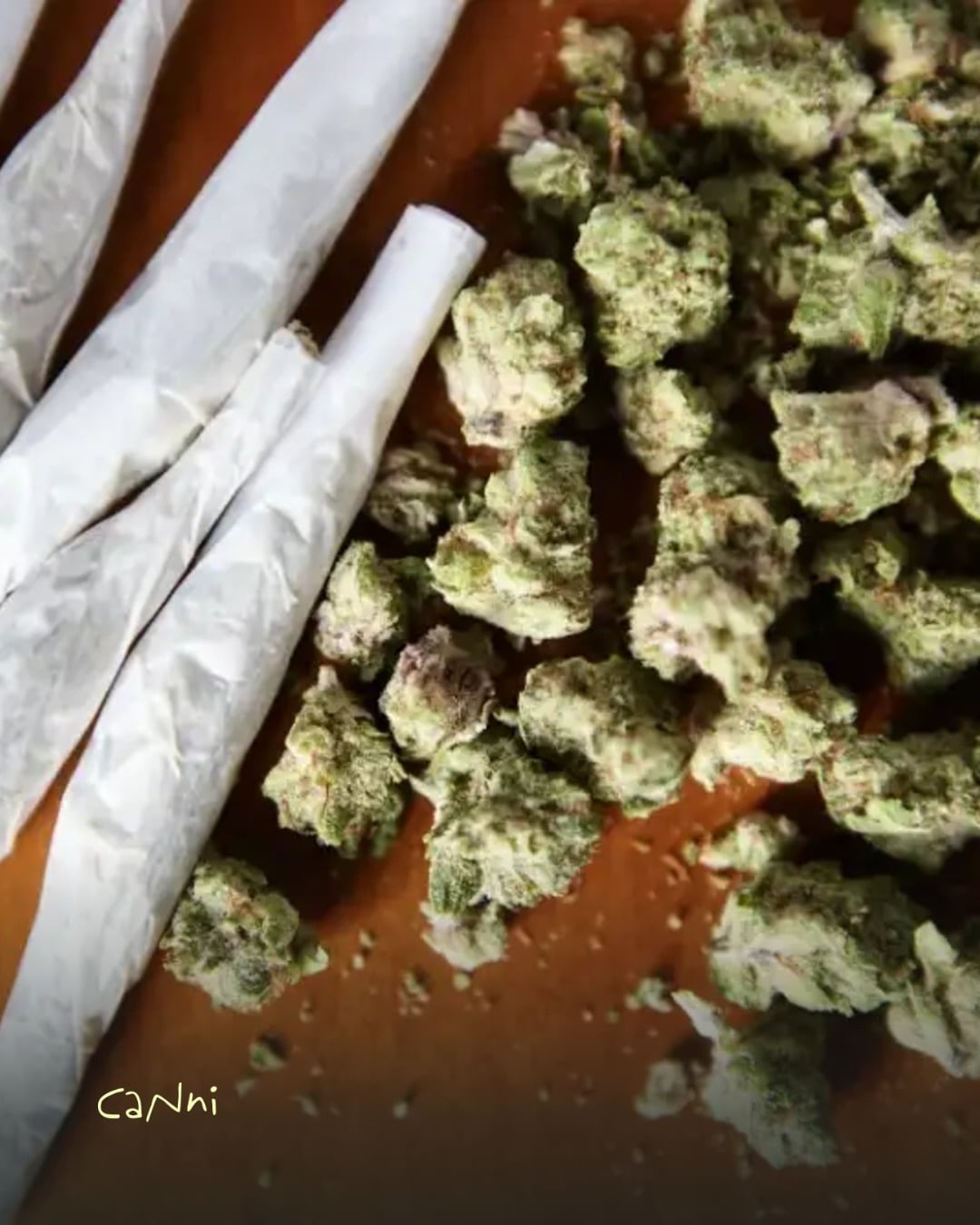 Capa do artigo: Melhor strain para iniciante: as mais confortáveis