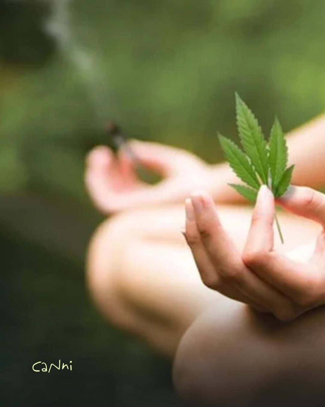 Capa do artigo: Melhores Strains para Meditar e Mindfulness