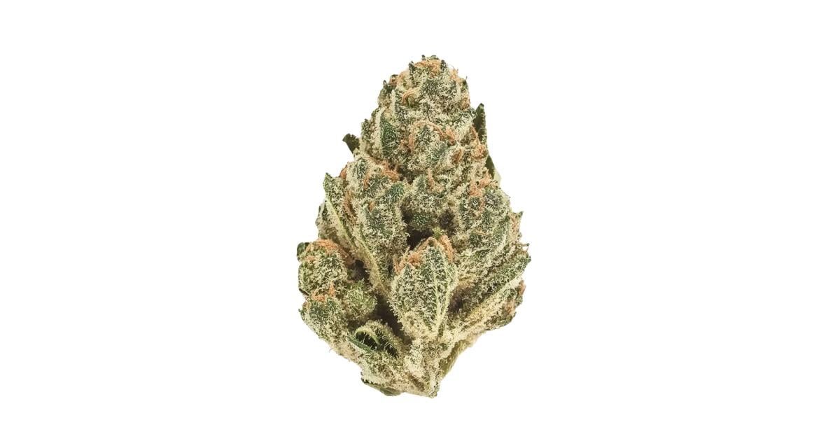 Flor da strain 24k Gold