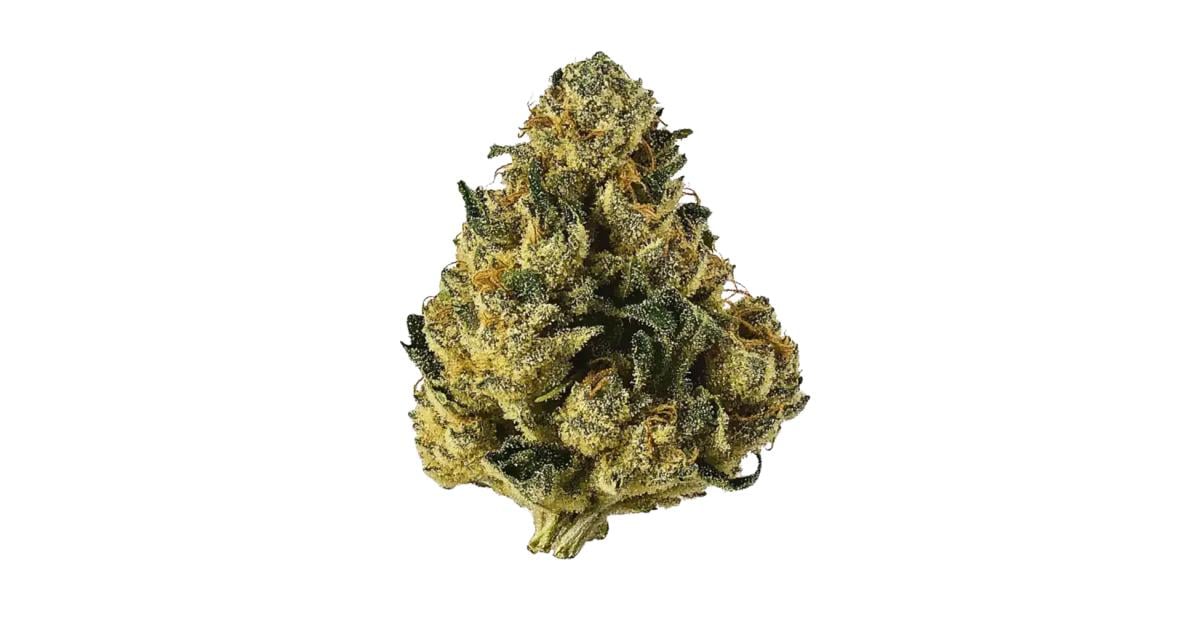 Flor da strain Alien Cookies