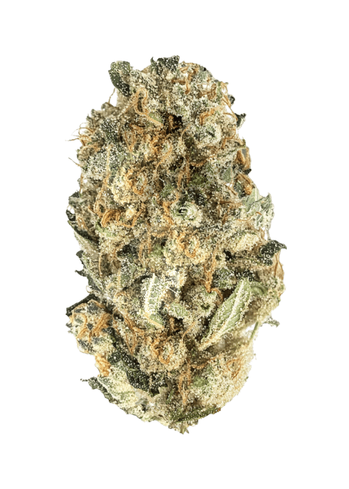 Flor da strain Amnesia