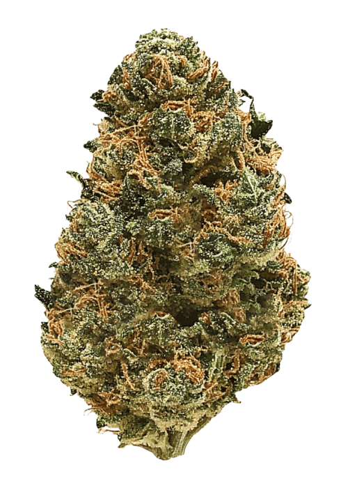 Flor da strain Apple Jack