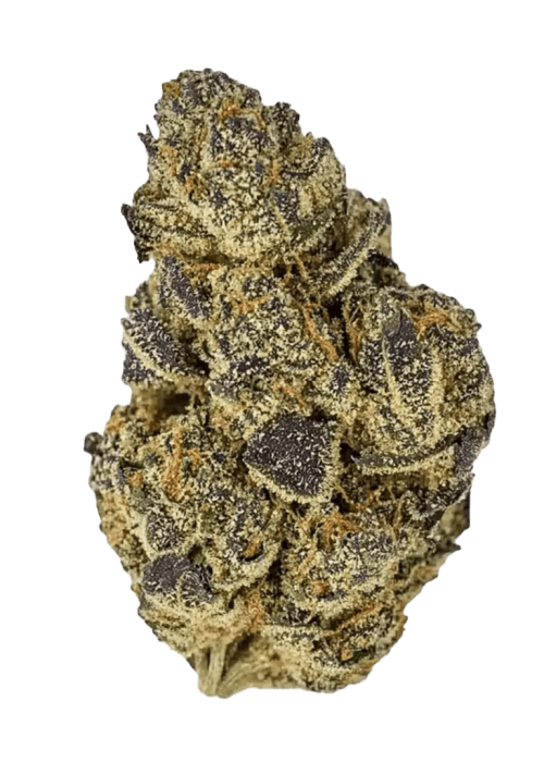 Flor da strain Bacio Gelato