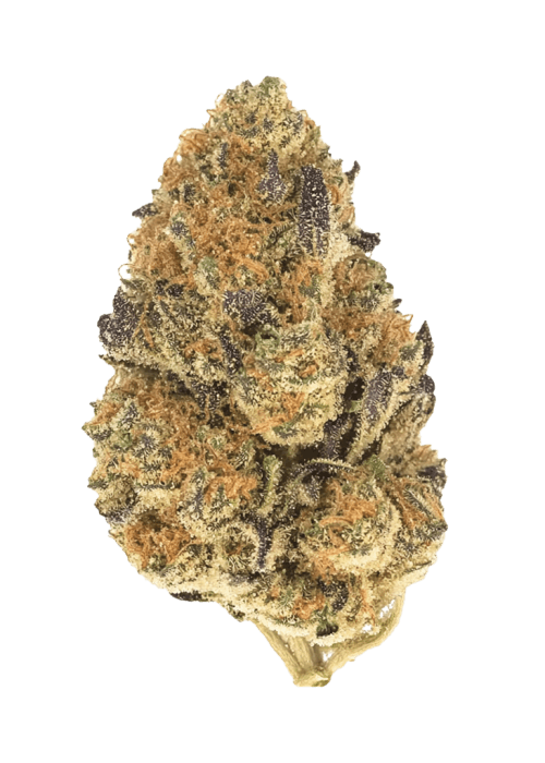 Flor da strain Banana Cream