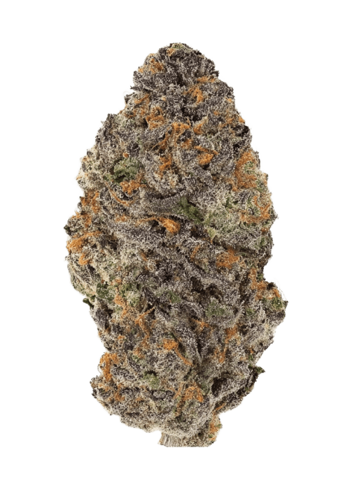 Flor da strain Blackberry Gelato