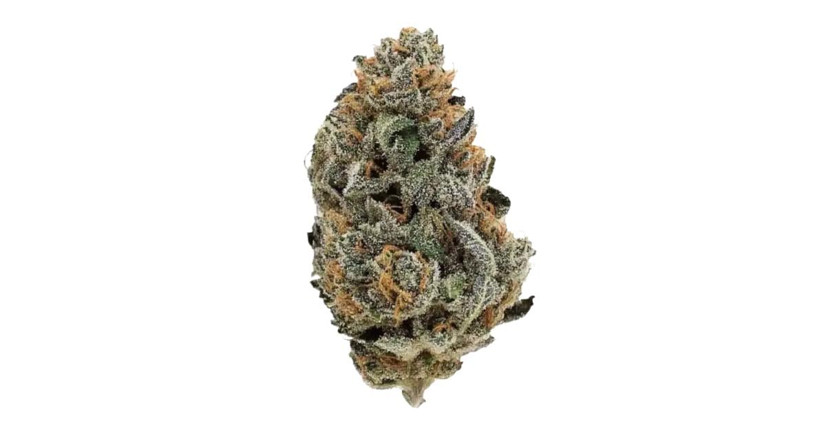 Flor da strain Blackberry Kush