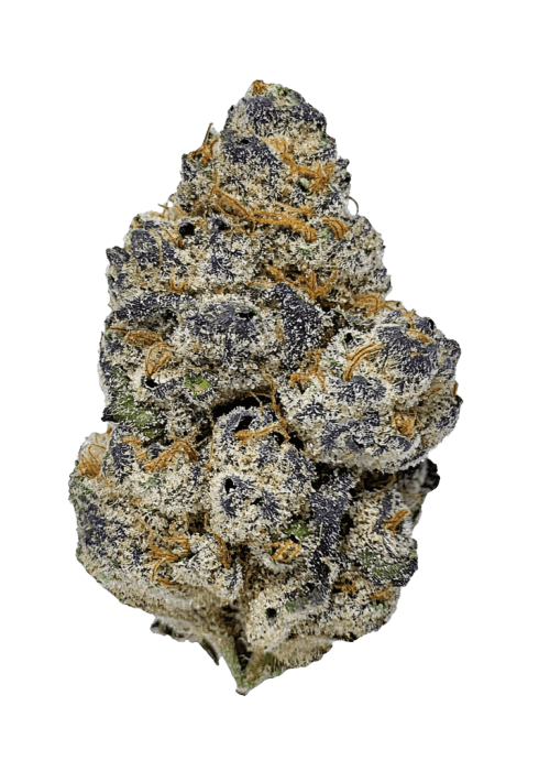 Flor da strain Blue Cookies