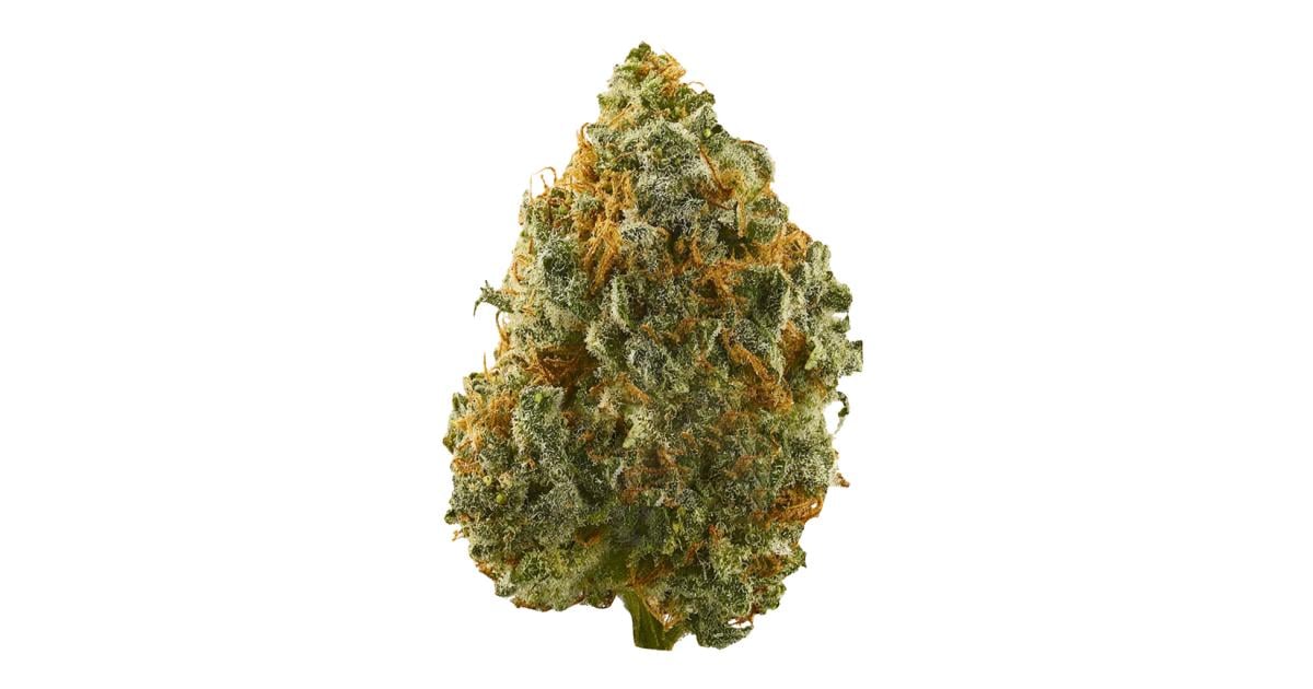 Flor da strain Brazilian Sativa