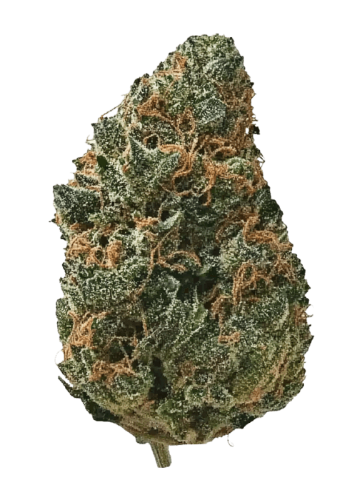 Flor da strain Bubblegum Gelato