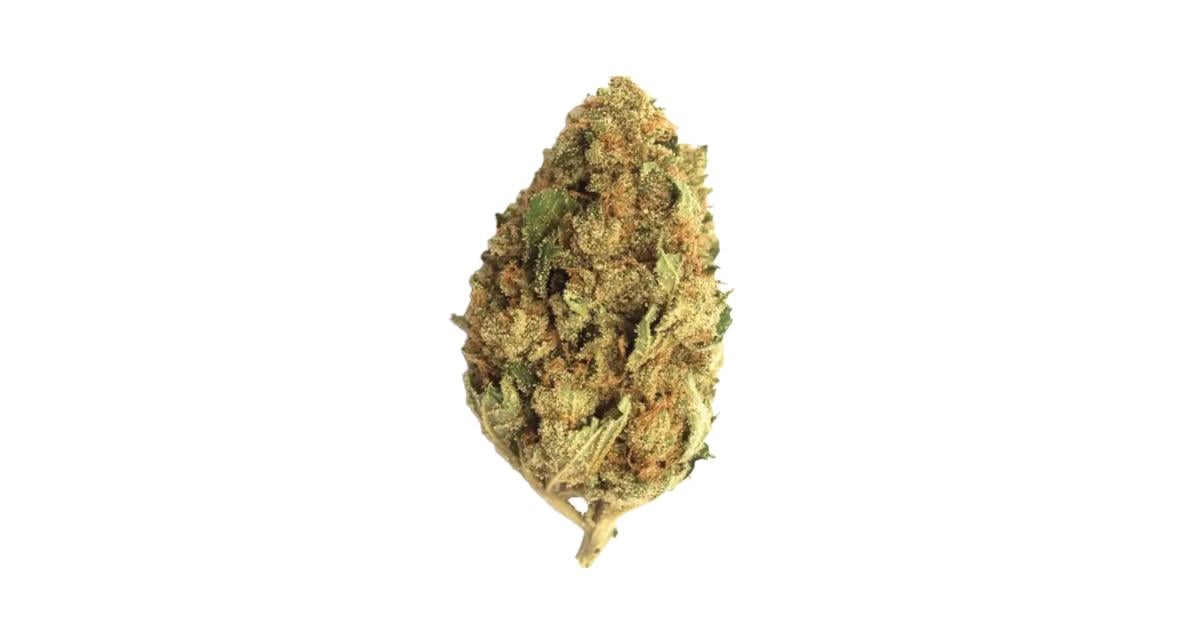 Flor da strain Bubblegum