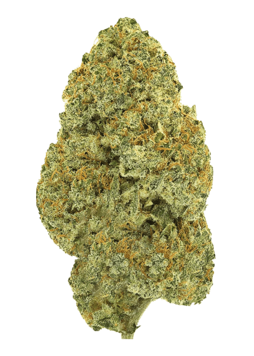Flor da strain Buttercream Gelato