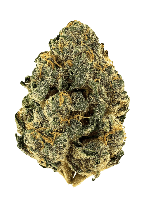 Flor da strain Buttermint Gelato