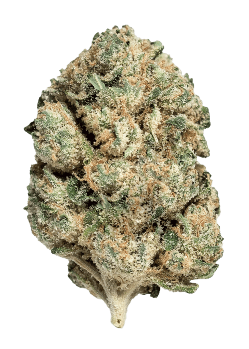Flor da strain Cherry Gelato