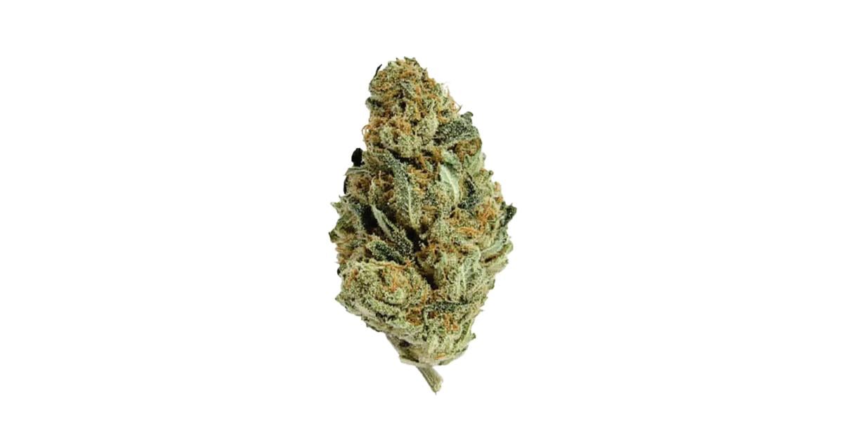 Flor da strain Chocolate Thai