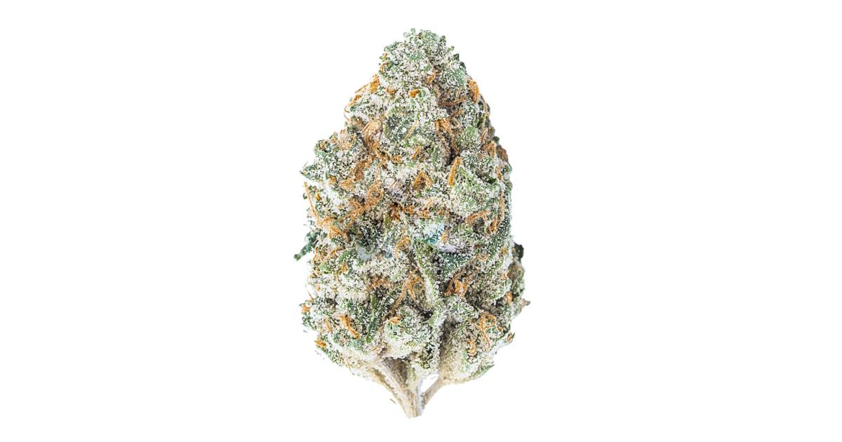 Flor da strain Chocolope