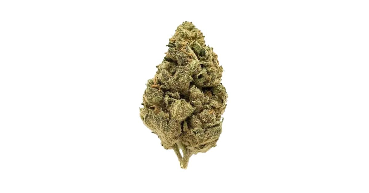 Flor da strain Cinderella 99