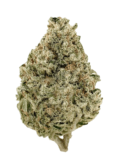 Flor da strain Cinex