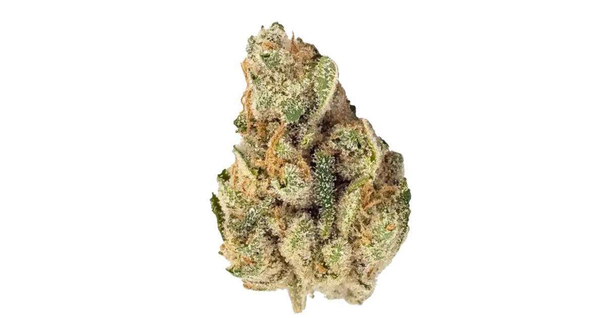 Flor da strain Clementine