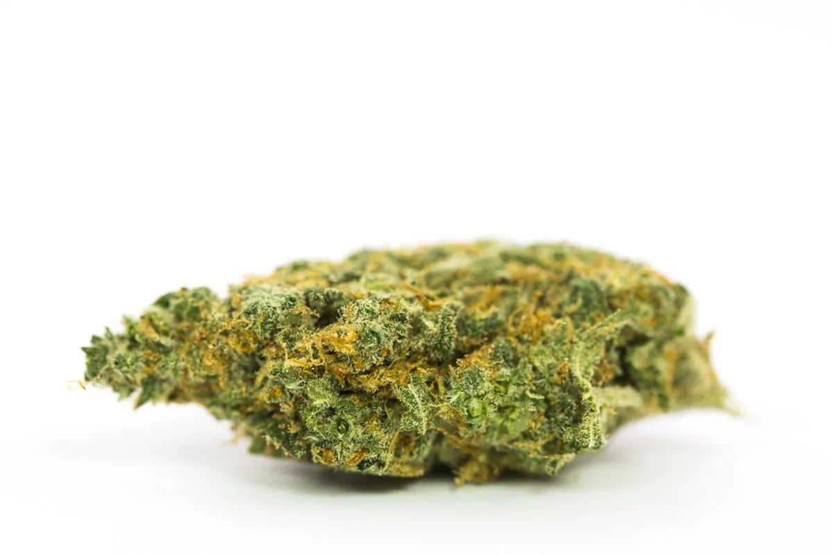 Flor da strain Colombian Gold