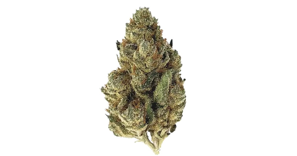 Flor da strain Cookies and Cream