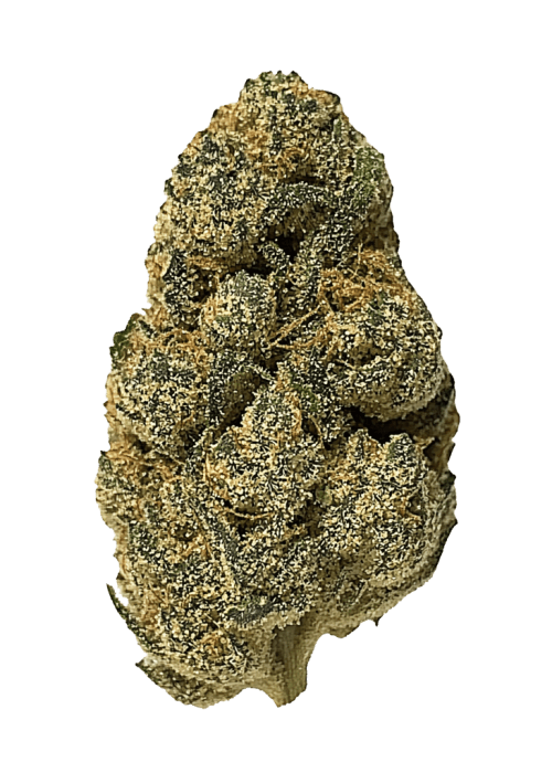 Flor da strain Critical