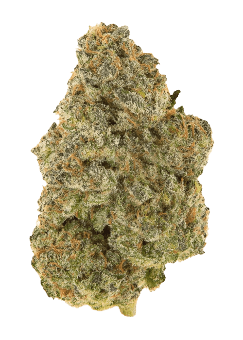 Flor da strain Frozen Gelato