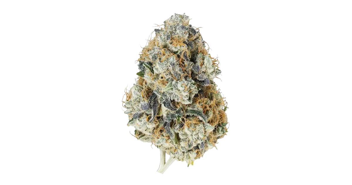 Flor da strain Gary Payton