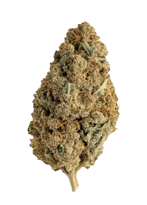 Flor da strain Gelato 25