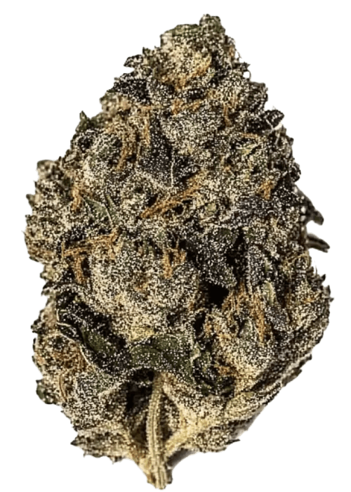 Flor da strain Gelato 33