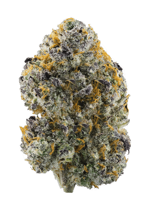 Flor da strain Gelato 41