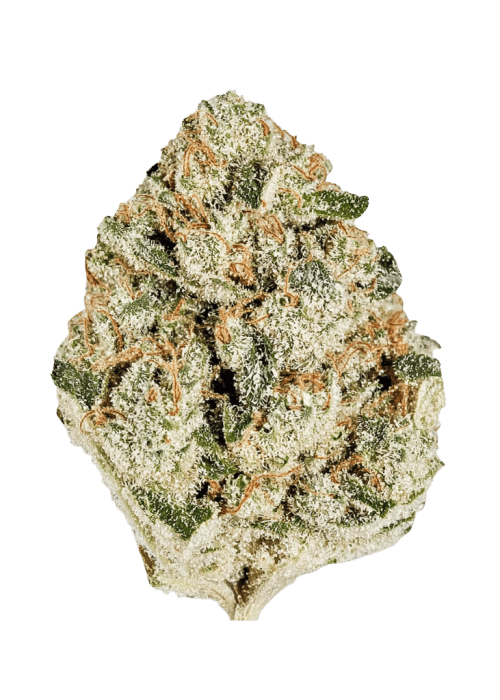 Flor da strain Gelato Cake