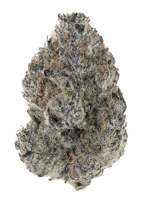 Flor da strain Gelato Gas