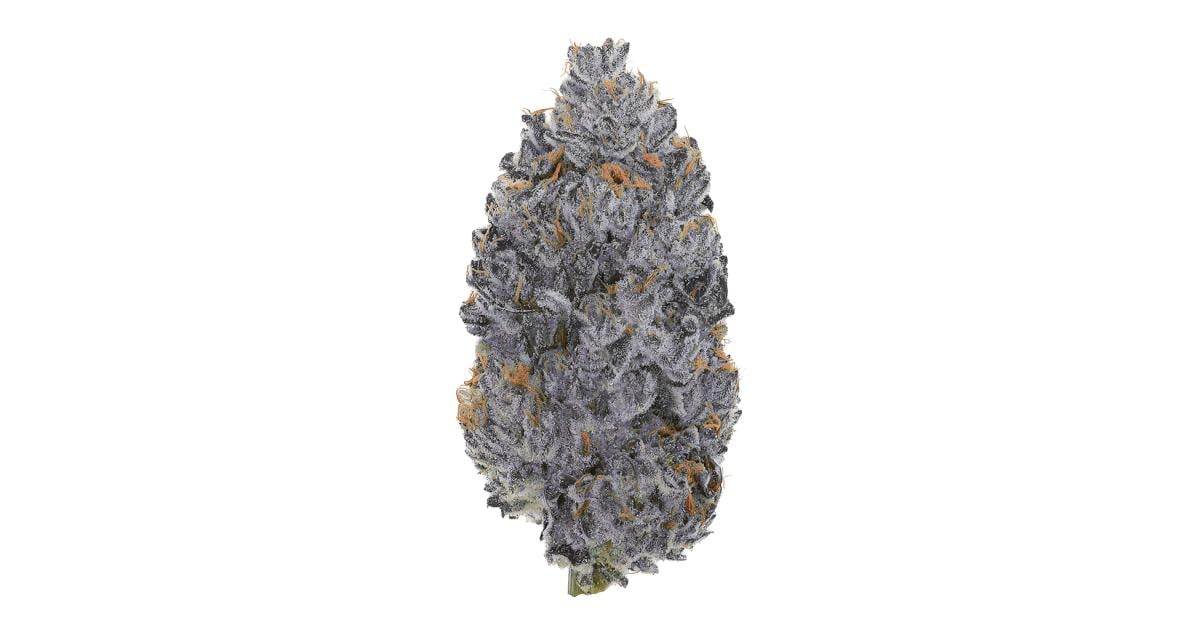 Flor da strain Gelonade