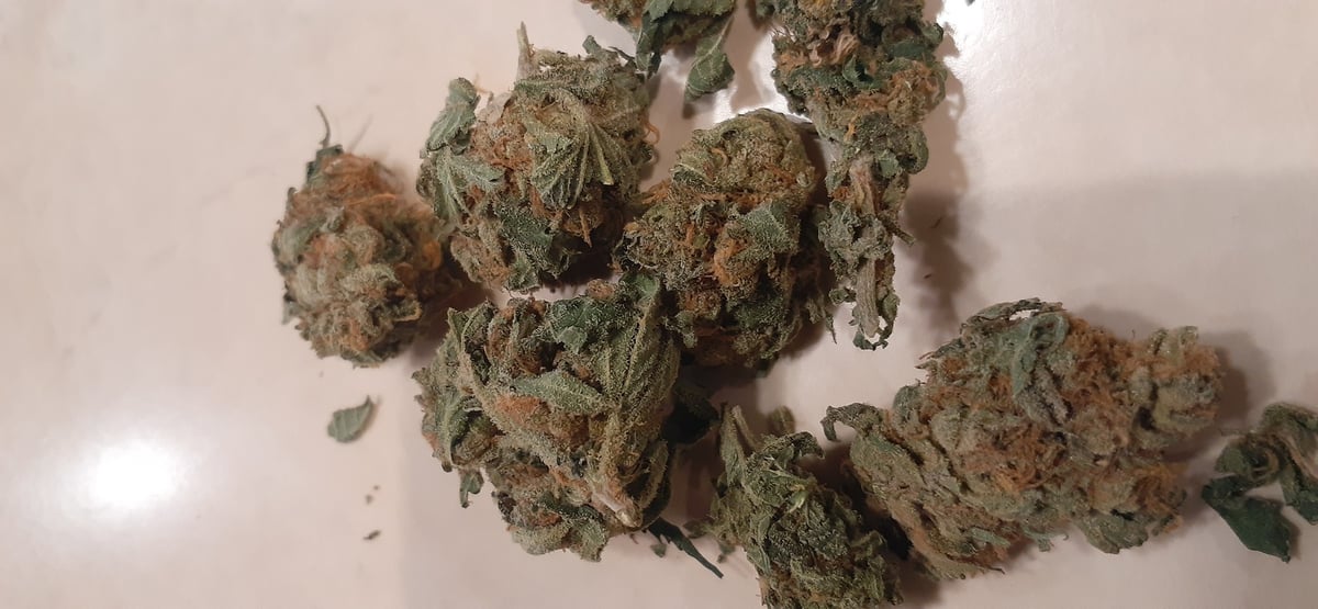 Flor da strain Georgia Pie