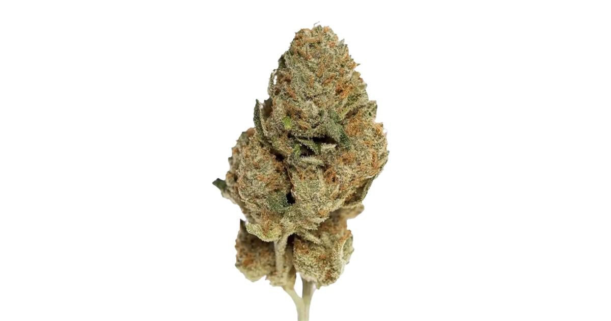Flor da strain Ghost Train Haze