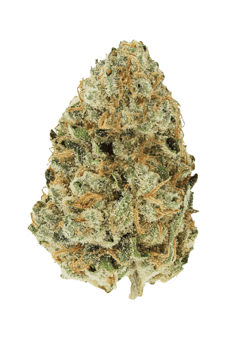 Flor da strain Golden Goat